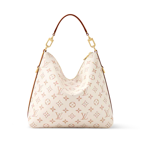 Louis Vuitton Multipass