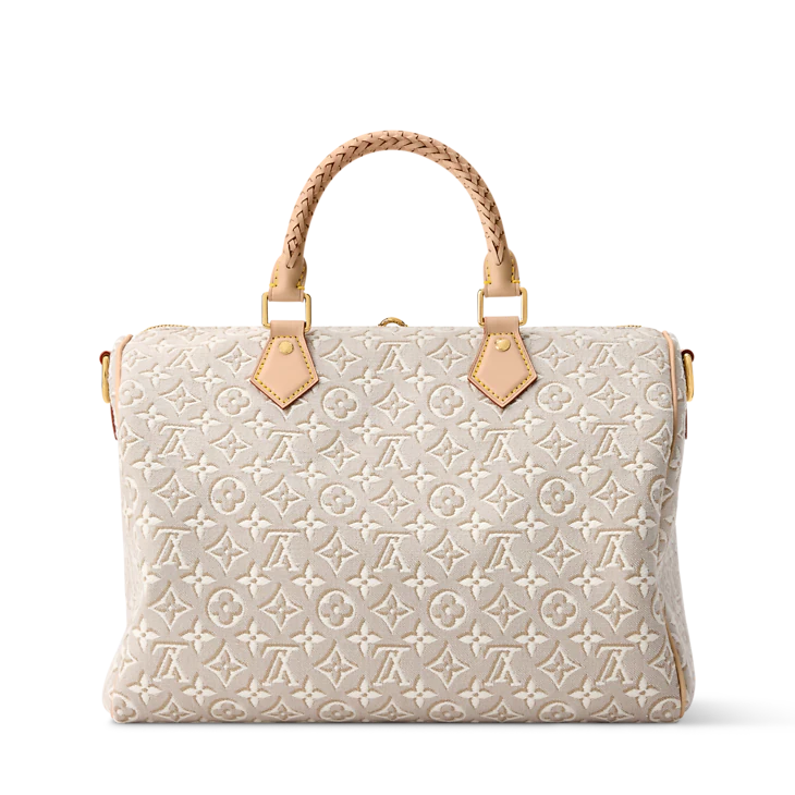 Louis Vuitton Speedy Soft 30
