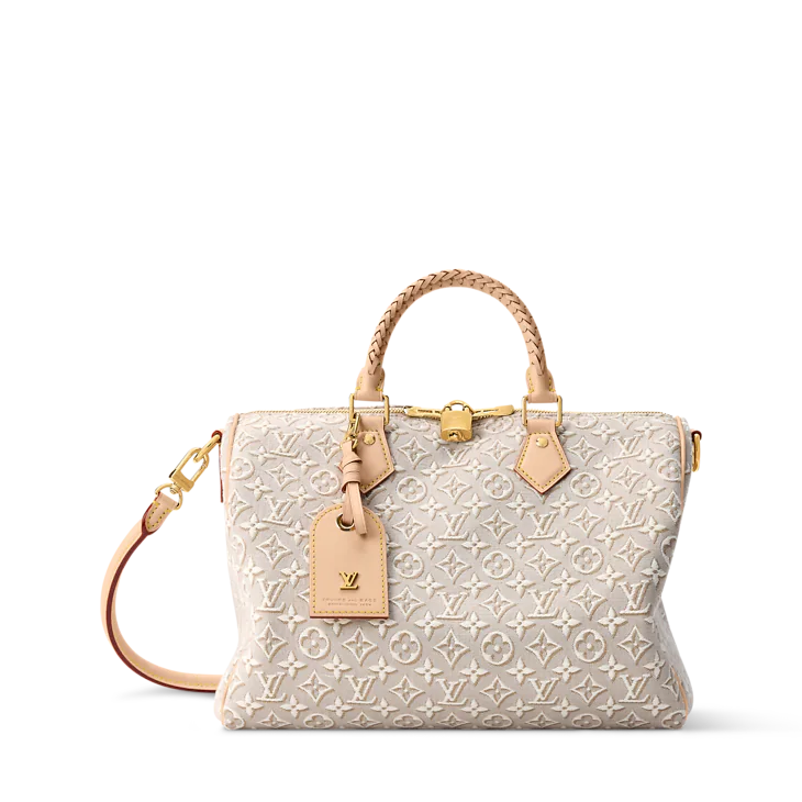 Louis Vuitton Speedy Soft 30