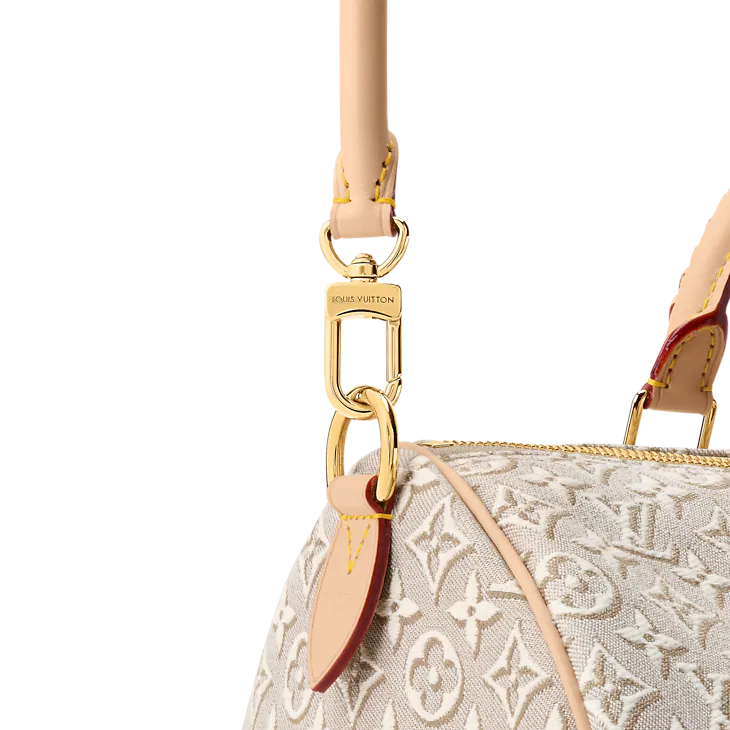 Louis Vuitton Speedy Soft 30