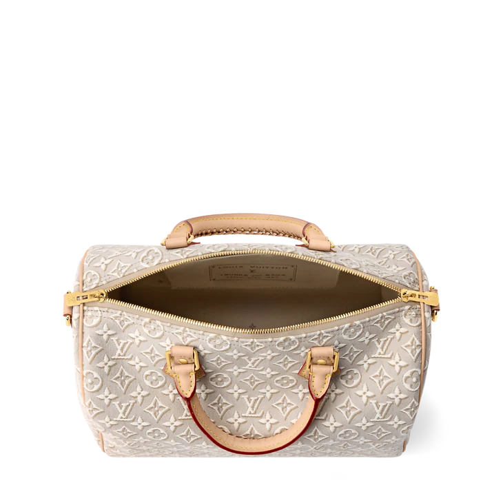 Louis Vuitton Speedy Soft 30