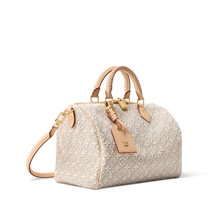 Louis Vuitton Speedy Soft 30