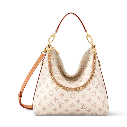 Louis Vuitton Multipass