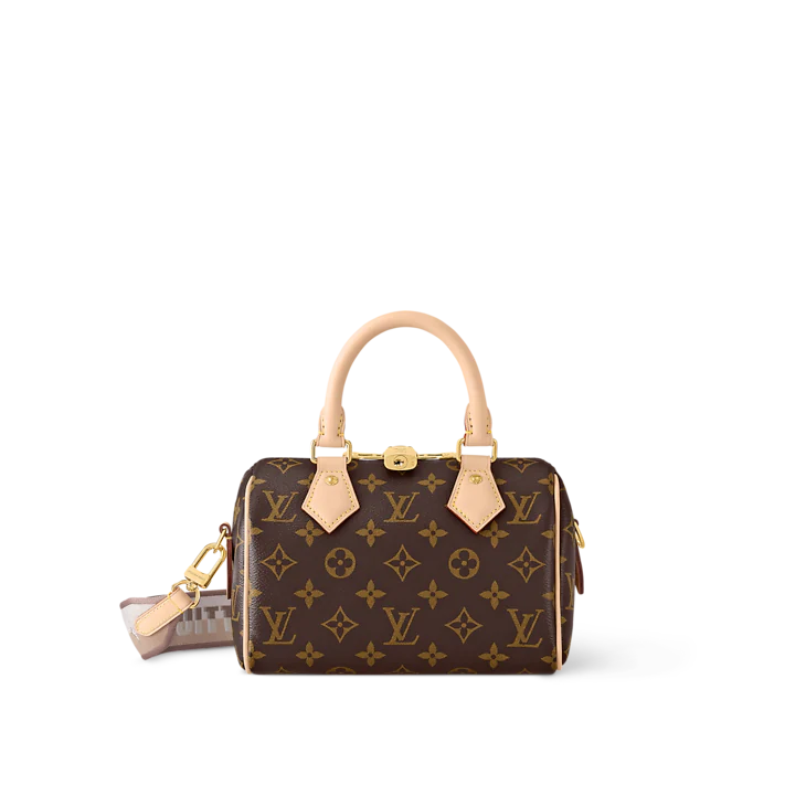 Louis Vuitton Speedy Bandoulière monogram 20
