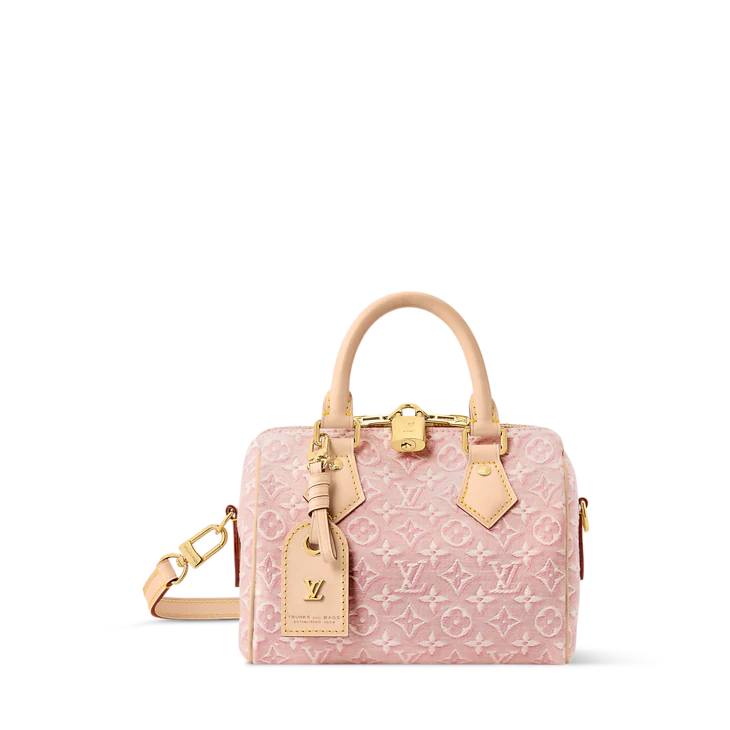 Louis Vuitton Speedy Bandoulière 20
